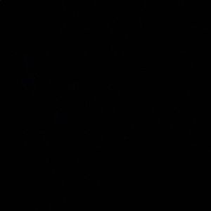 Meet your Posher, Evan